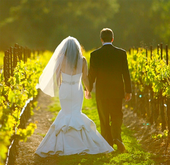 Vineyard Wedding Venues

