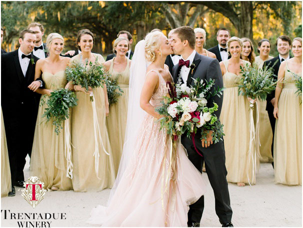 Vineyard Wedding Venues