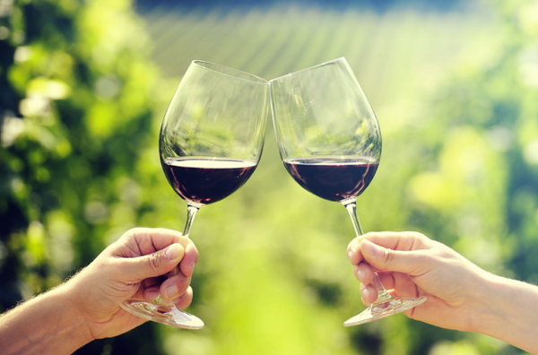 Where To Taste Wine In Sonoma